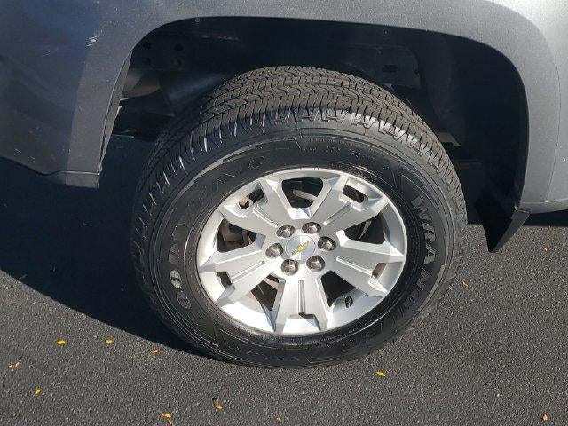 Photo 5